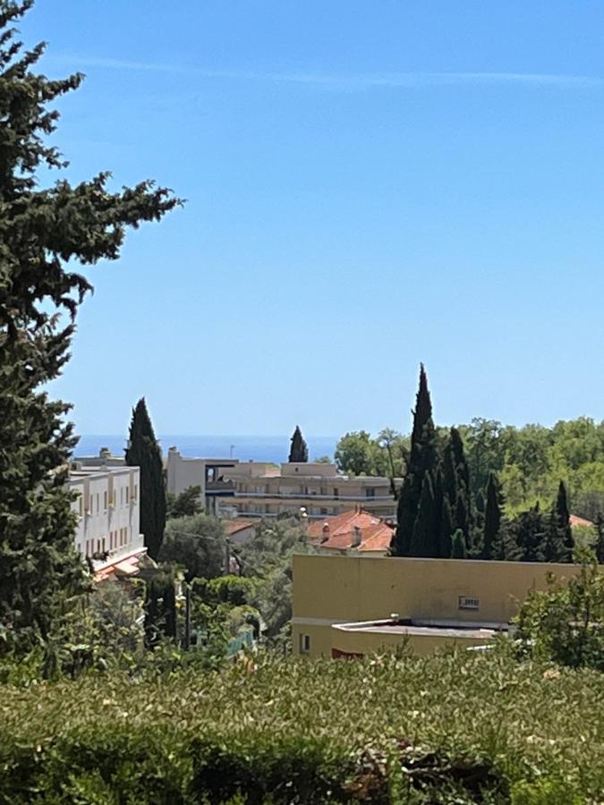 Charmant Studio Avec Terrasse Et Parking A Vence Eksteriør billede
